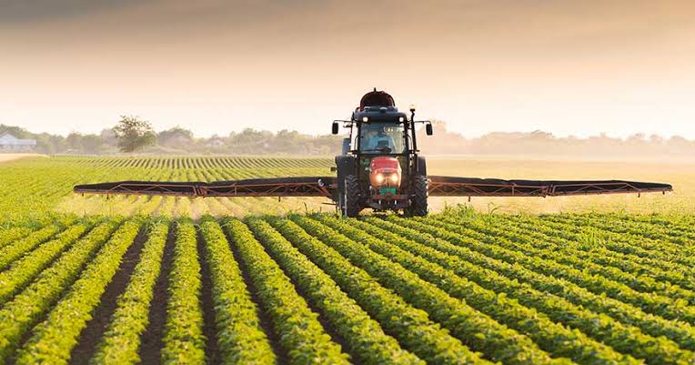 Rainbow Crop Science